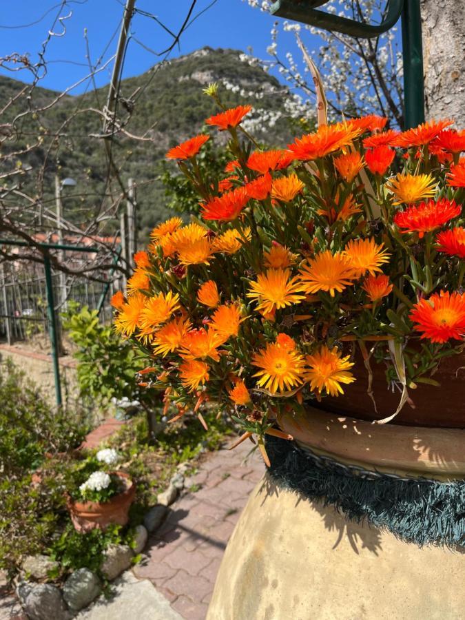 Rocca Di Corno Guest House Finale Ligure Zewnętrze zdjęcie